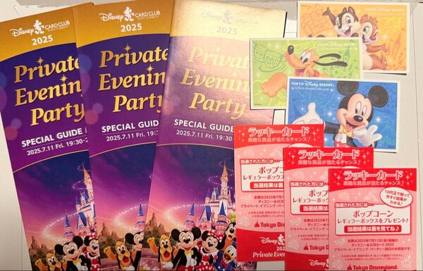 東京ディズニーランドプライベートイヴニングパーティディズニーJCBカードクラブ貸切