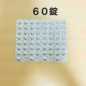 コンセプトワンステップ 中和錠60錠