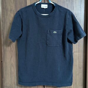 ラコステ 鹿の子 ポケットTシャツ M
