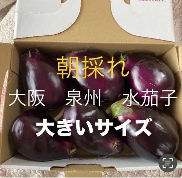 無農薬 朝採れ 大阪 泉州 水茄子 水ナス 大玉6個以上