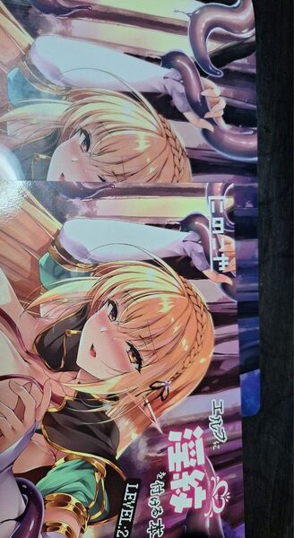 クリアファイル+同人誌 セット にの子「エルフに淫紋を付ける本 LEVEL:2」 にのこや メロンブックス購入特典