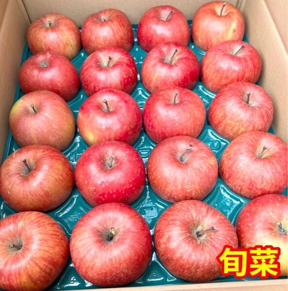 りんご サンフジ 正規品 13~23個 約5kg