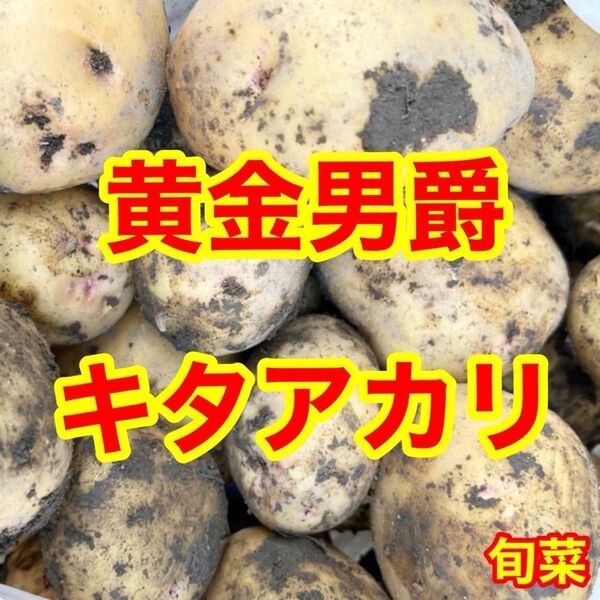 キタアカリ じゃがいも 自然栽培 約1キロ 味濃厚