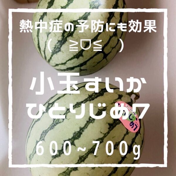 スイカ ひとりじめ7 600〜700g 2玉