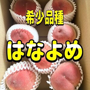 桃 はなよめ 約1.2kg 家庭用 5〜9玉