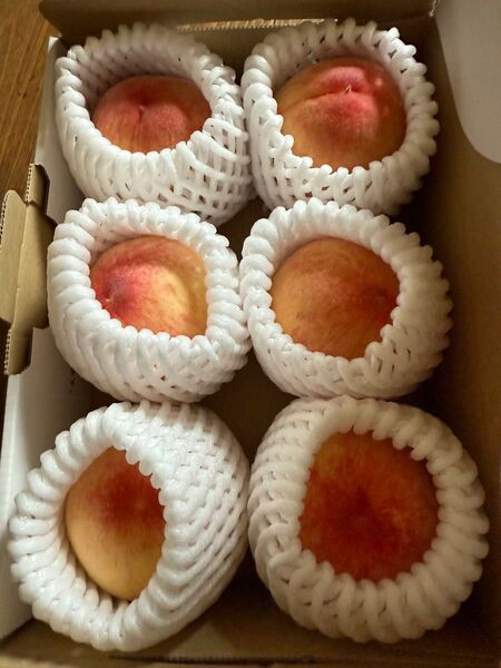 桃 日川白鳳 約900g ハネダシ ゆうパケットプラス発送