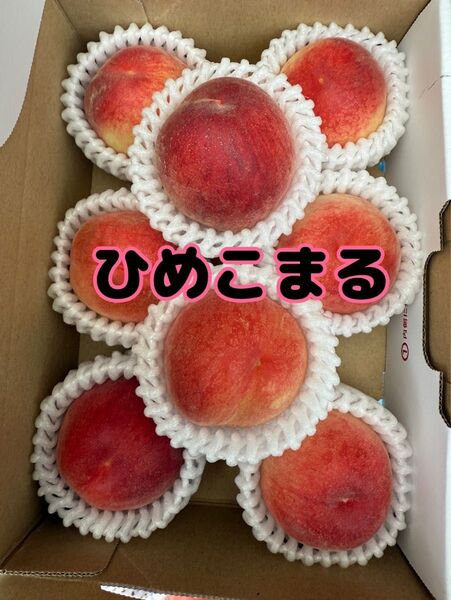 桃 小さい希少桃 ひめまるこ 個数は変動 約800g 家庭用