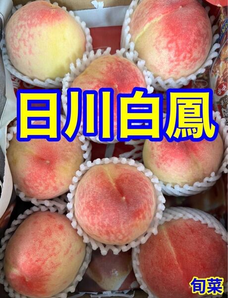 桃 日川白鳳 タイムセール 約1.2〜1.4キロ 5〜8玉 ご家庭用