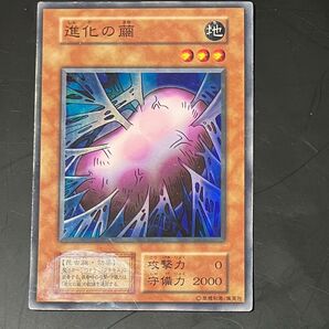 遊戯王 進化の繭