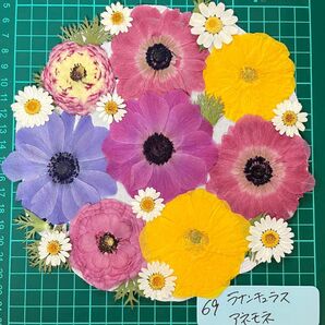 ラナンキュラスとアネモネの押し花 押し花素材