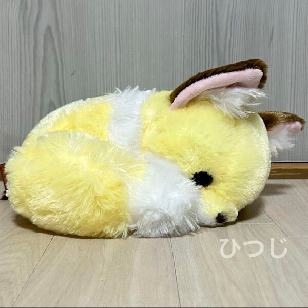 ちょコンとキツネ くるんとおねむ ぬいぐるみ こんぺいとう JBサイズ