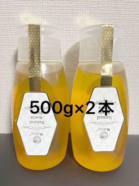 アカシアハチミツ 非加熱 500g×2個セット ワンタッチチューブボトル ハンガリー産 生はちみつ 蜂蜜 アカシアハニー 当日発送