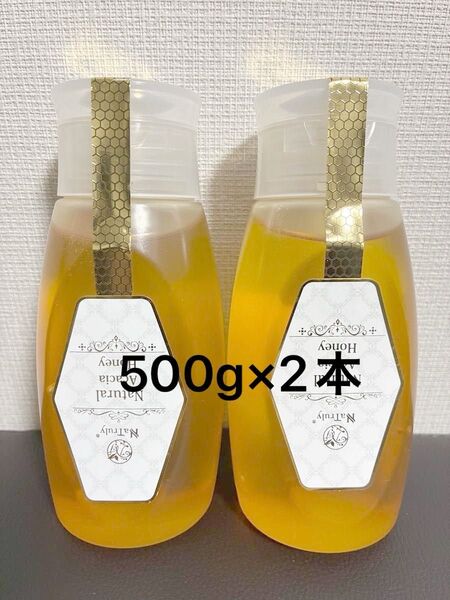 アカシアハチミツ 非加熱 500g×2個セット ワンタッチチューブボトル ハンガリー産 生はちみつ 蜂蜜 アカシアハニー 当日発送