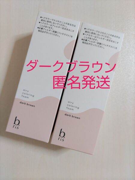 ビーリス エアリーカラーリングフォーム 白髪染め 医薬部外品 泡タイプ ダークブラウン