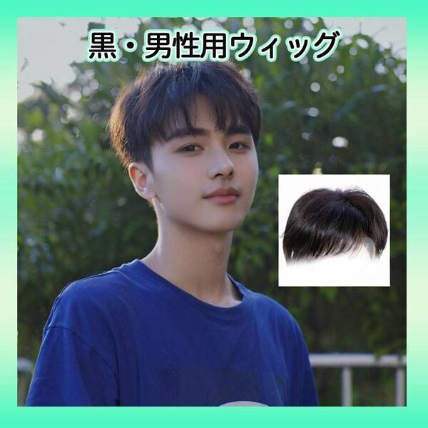 黒 男性用 ツーブロック ウィッグ コスプレ かつら イメチェン 韓国 男子