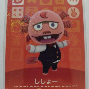 任天堂 Switch どうぶつの森 あつまれどうぶつの森 あつ森 どう森 とび森 amiibo カード ししょー 111