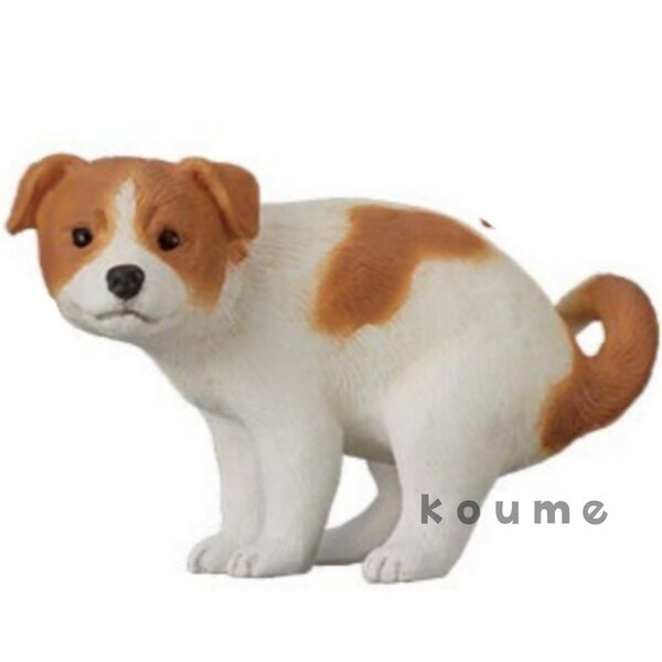 ふんばり〜ぬ ふんばりーぬ 犬 フィギュア ガチャ ジャックラッセルテリア