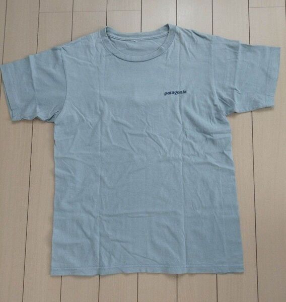 patagonia メンズTシャツ半袖 Lサイズ