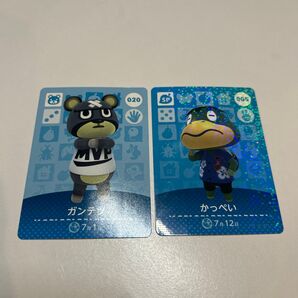 青組 amiiboカード あつまれどうぶつの森 任天堂 あつ森