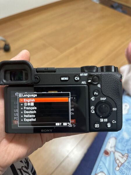 Sonyの高性能ミラーレスカメラA6600 SONY