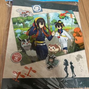 ポケモンセンターオリジナル ポケモンカードゲーム コレクションファイル POKEMON TRAINERS ゼロの秘宝