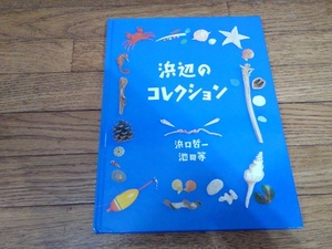 「浜辺のコレクション」　浜口哲一　写真絵本　図鑑　海　海岸　漂着物　♪美品♪　ｋ