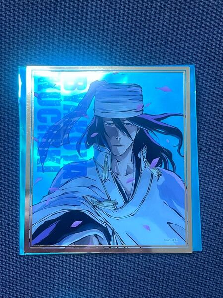 BLEACH WORLD 朽木白哉 クリアミニ色紙コレクション