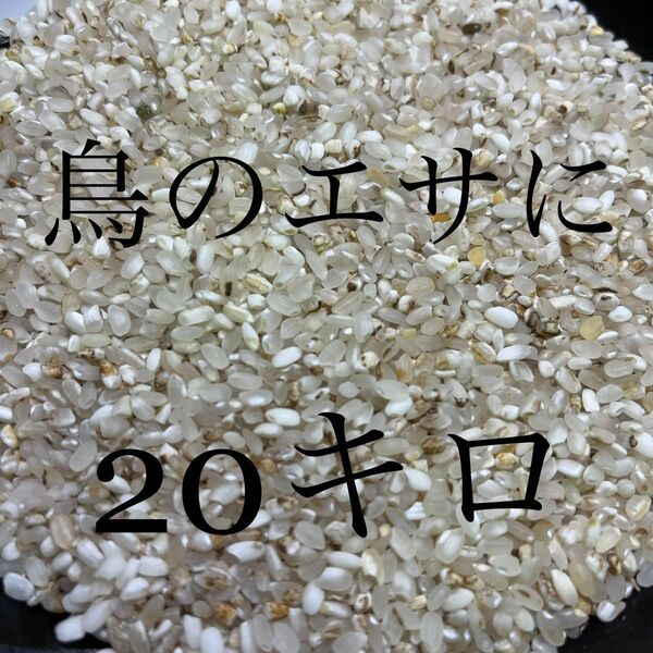 鳥餌 米 飼料/小動物 餌◎10kg×2(20kg)