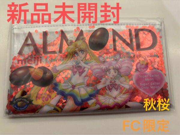 ☆新品未開封☆セーラームーン☆FC限定☆クリアポーチ 描き下ろし(ムーン&ちびムーン)