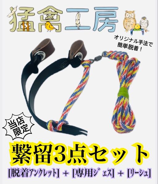 繋留3点セット 脱着式アンクレット 専用ジェス リーシュ 猛禽類 ふくろう