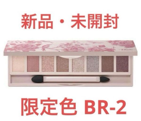 【新品 未開封】ヴィセ リシェ グラマラスヌード アイパレット BR-2 限定色