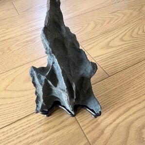鑑賞石