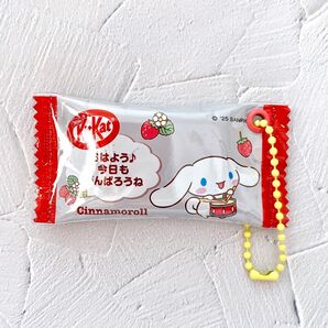 お菓子袋リメイクキーホルダー【404】