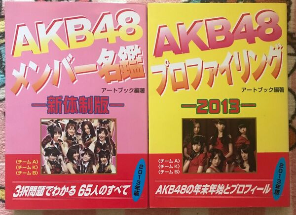 AKB48 2013年『メンバー名鑑 新体制版』&『プロファイリング』