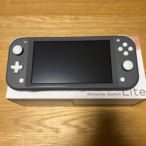 Nintendo Switch Lite グレー ケース ガラスフィルム付き ニンテンドースイッチライト