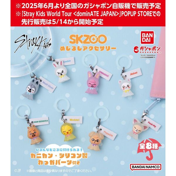 SKZOO めじるしアクセサリー(DWAEKKI)