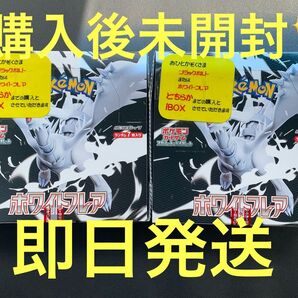 【未開封】ホワイトフレア2BOX