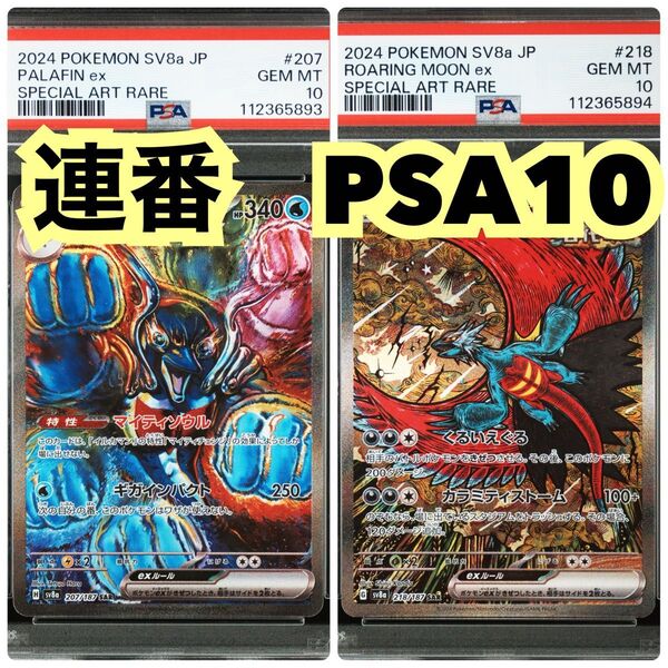 【連番 PSA10】イルカマンex SAR トドロクツキex SAR(ハイクラスパック「テラスタルフェスex」)