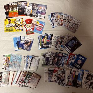 プロ野球 ポケットスケジュール カレンダー 選手名鑑 NPB公式戦試合日程 球場配布 75種セット ジャイアンツ オマケ付