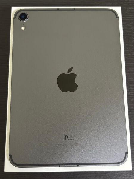 【美品】iPad mini 6 Wi-Fi + Cellularモデル 256GB - スペースグレイ