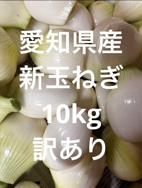 愛知県産 新玉ねぎ 10kg 訳あり