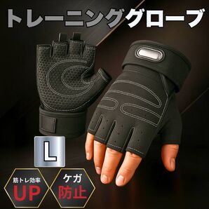 トレーニンググローブ L サイズ ジム スポーツ サポート サポーター 筋トレ グリップ 男女兼用 グリップ メッシュ 黒 白