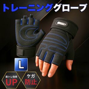 トレーニンググローブ L サイズ ジム スポーツ サポート サポーター 筋トレ グリップ 男女兼用 グリップ メッシュ 黒 青