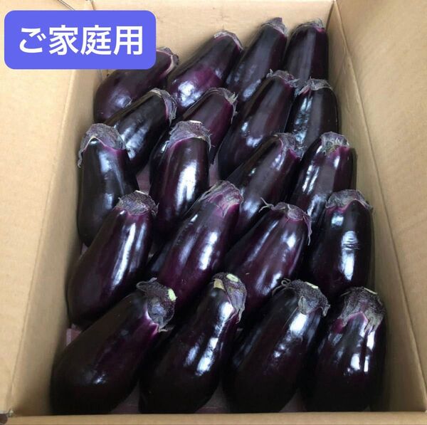 期間限定 訳あり ご家庭用 泉州水なす 20個入り 約4kg ぬか漬けに 御中元 お中元 父の日 お取り寄せ 大阪名物 なすび