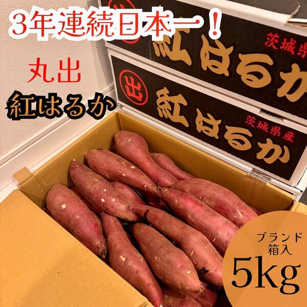 間も無く今季終了 日本一のさつまいも 茨城県産 紅はるか 丸出 BMサイズ 箱込み5kg ねっとり系 甘い さつまいも