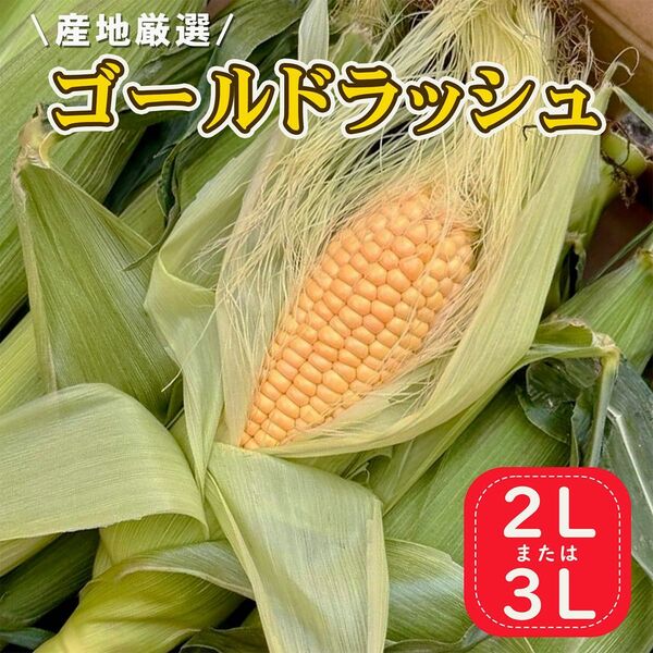 甘い! 長崎県産〜北海道産 ゴールドラッシュ とうもろこし 3L 5本 約1.8〜2kg 又は 2L6本