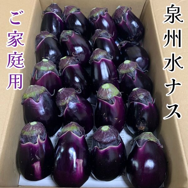 期間限定!泉州水なす 20個入り 約4kg 訳あり品 B ぬか漬けに お取り寄せ ご家庭用 大阪名物 なすび