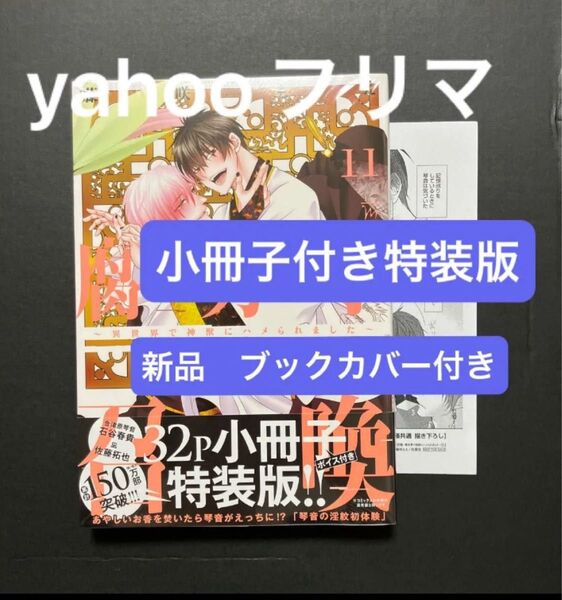 腐男子召喚~異世界で神獣にハメられました~(11) 特装版 描き下ろし32P小冊子付き 新品 未開封 特典 漫画ペーパー
