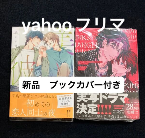 新刊 沖田有帆 PUNKSATRIANGLE stitch1 北野仁 凪良ゆう 美しい彼5 応募券付き ブックカバー付き