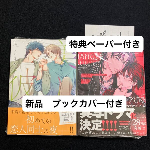 沖田有帆 PUNKSATRIANGLE stitch1 北野仁 凪良ゆう 美しい彼5 応募券付き 特典ペーパー付き